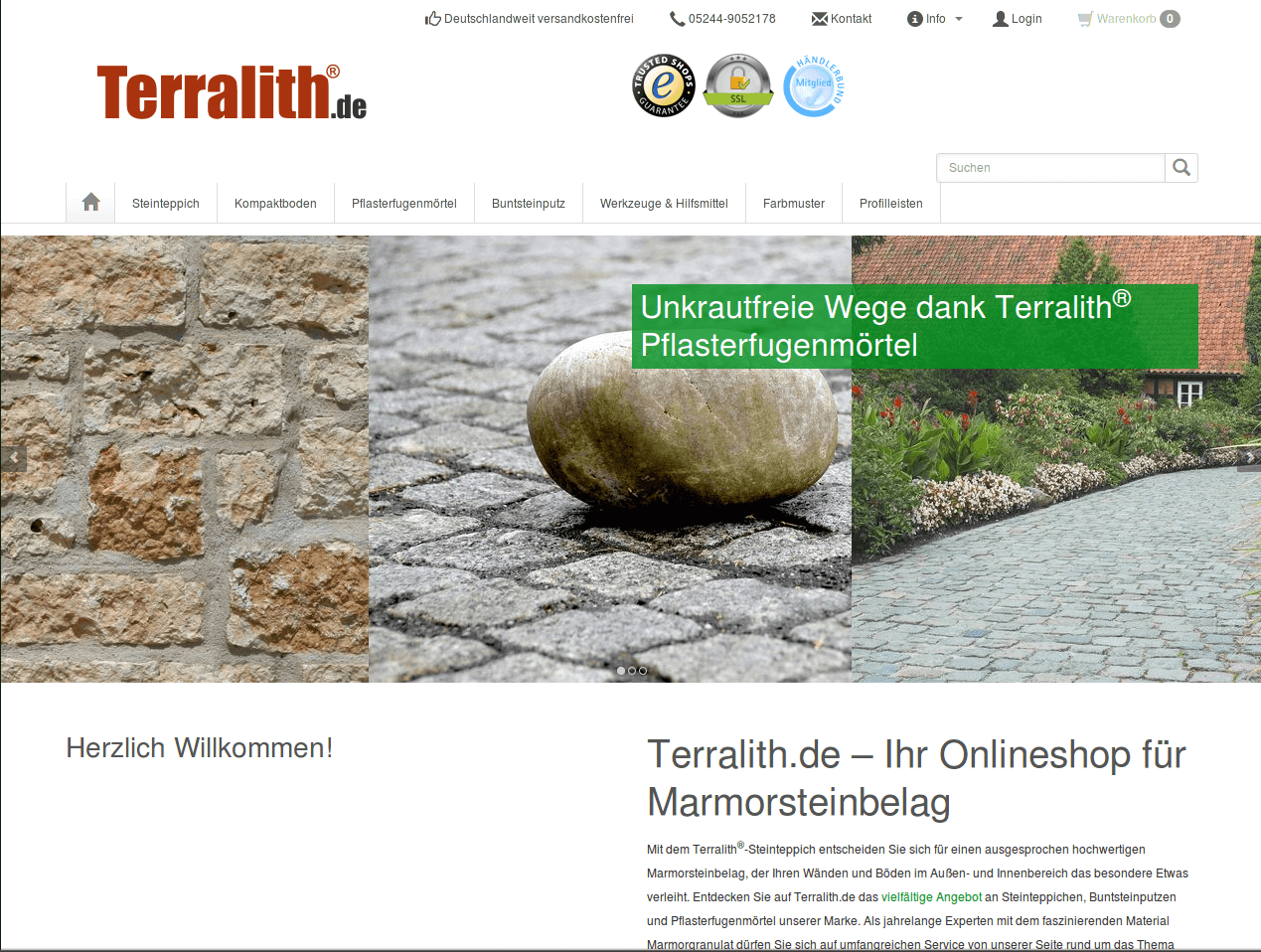 Web-Wikinger-Projektbild-terralit