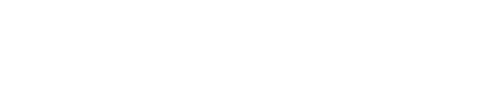 wikinger-logo-weiss